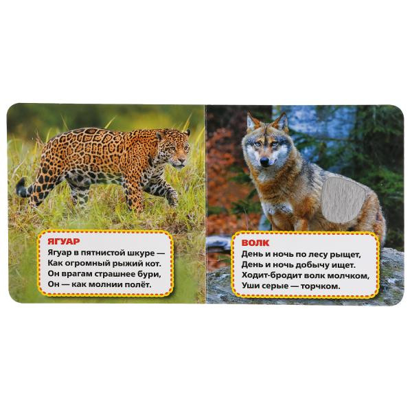 Книжка с тактильными элементами «Хищники» С.Степанов. Формат: 120х120мм 6стр, Умка