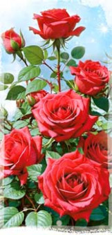 Конверт для денег, 90-1858 (10)