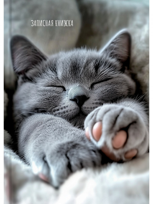 Записная книжка А6 160л клетка "Милые котики - 9", 7БЦ, склейка, Проф-Пресс/ЗК160-0085 (14)