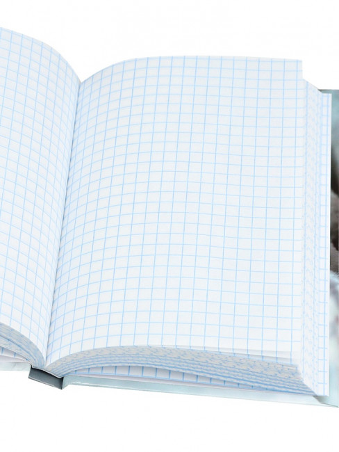 Записная книжка А6 160л клетка "Милые котики - 9", 7БЦ, склейка, Проф-Пресс/ЗК160-0085 (14)