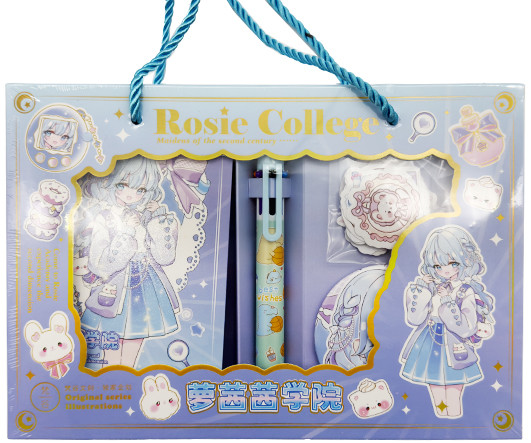 Набор подарочный  DG-89 Записная книжка А6+ ручка 6 цветов, наклейки, значок, цвета ассорти, в к/к F94-16375 (1/96)