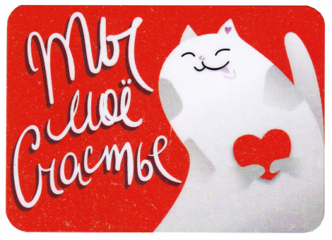 Магнит виниловый 50х70мм "Ты моё счастье" 034002мп70002