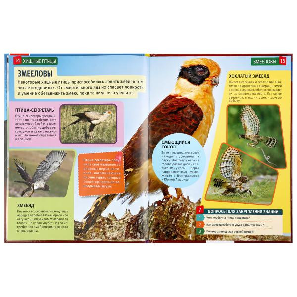 Энциклопедия с развивающими заданиями «Хищные птицы». Формат: А4 48стр, Умка Энциклопедия с развивающими заданиями «Хищные птицы». Формат: А4 48стр, Умка