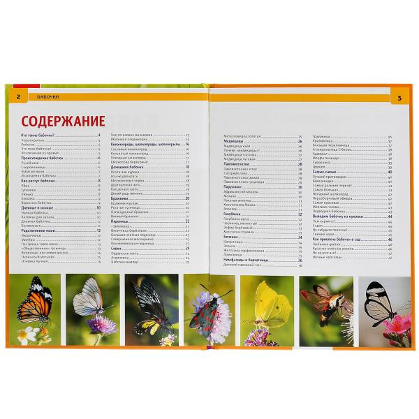 Энциклопедия «Бабочки». Формат: 197 х 255мм 48стр, Умка