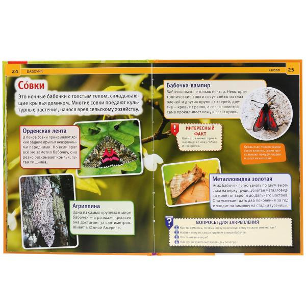 Энциклопедия «Бабочки». Формат: 197 х 255мм 48стр, Умка