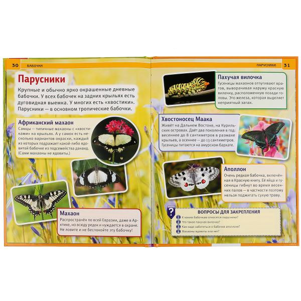Энциклопедия «Бабочки». Формат: 197 х 255мм 48стр, Умка