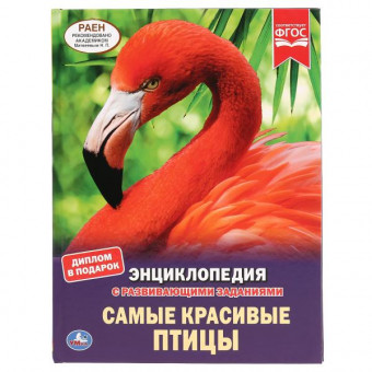 Энциклопедия с развивающими заданиями «Самые красивые птицы». Формат: 197 х 255мм 48стр, Умка Энциклопедия с развивающими заданиями «Самые красивые птицы». Формат: 197 х 255мм 48стр, Умка