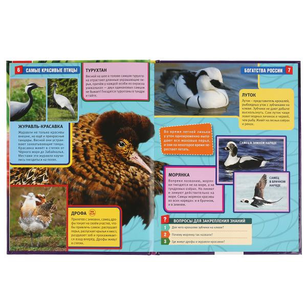 Энциклопедия с развивающими заданиями «Самые красивые птицы». Формат: 197 х 255мм 48стр, Умка Энциклопедия с развивающими заданиями «Самые красивые птицы». Формат: 197 х 255мм 48стр, Умка