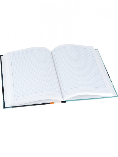 Бизнес-блокнот А5 160л клетка "Футбольный мяч - 10", 7БЦ, склейка, Проф-Пресс/Б160-9577 (12)