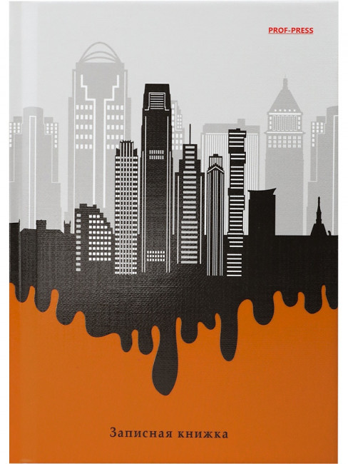 Записная книжка А6 160л клетка "На контрасте - 5", 7БЦ, склейка, Проф-Пресс/160-6725 (14)