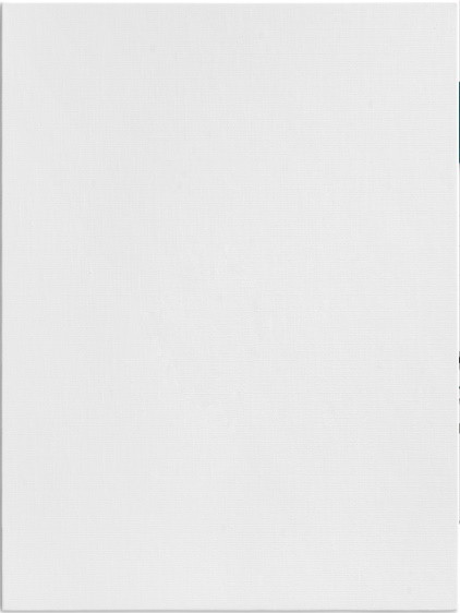 Холст Pinax на картоне, 280гр/м2 24х30