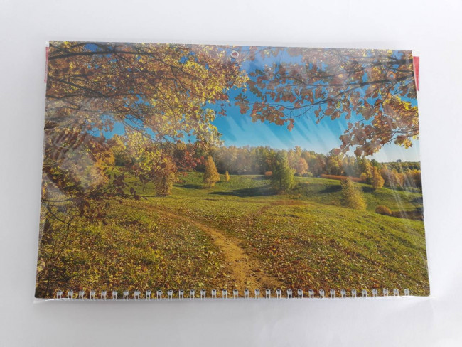 Календарь трио на гребне Осень в лесу