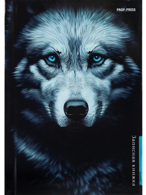 Записная книжка А6 48л клетка "Волк на чёрном", 7БЦ, сшивка, Проф-Пресс/48-5741 (40)