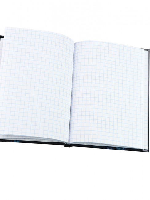 Записная книжка А6 48л клетка "Волк на чёрном", 7БЦ, сшивка, Проф-Пресс/48-5741 (40)