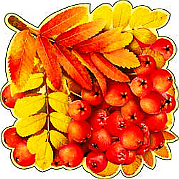 Плакат "Рябина" 113-14-ф (10)