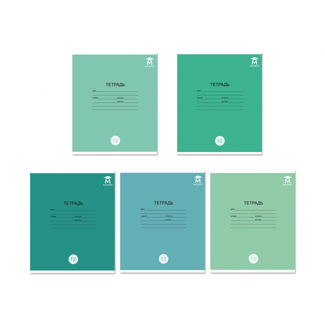 Тетрадь 12 косая линия с доп. горизонтальной Магистр "Отличная зелёная" белизна 100% (5 дизайнов ассорти) (25/250)