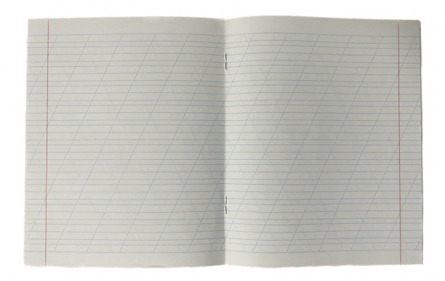 Тетрадь 12 косая линия с доп. горизонтальной Магистр "Отличная зелёная" белизна 100% (5 дизайнов ассорти) (25/250)