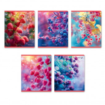 Тетрадь 48 клетка "На рассвете" скрепка, Светоч/Т71_01504 (10) Тетрадь 48 клетка "На рассвете" скрепка, Светоч/Т71_01504 (10)