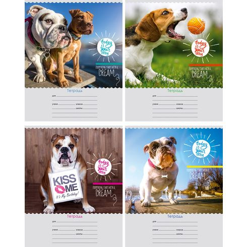 Тетрадь ученическая 12 л. в две линии "Твой день" (ассорти)(20/240)