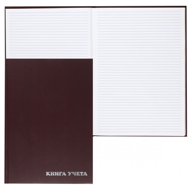 Книга учета, 96 листов, А4, 200*290 мм, линия, офсет, книжный переплет, KLERK, 216400