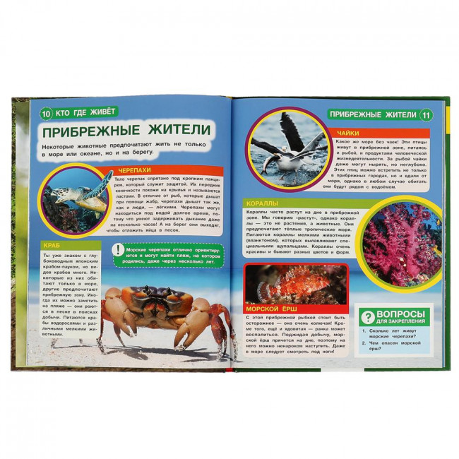 Энциклопедия с развивающими заданиями «Кто где живёт» с вырубкой. Формат: 197 х 255 48стр, Умка