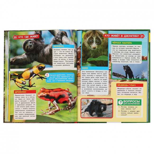 Энциклопедия с развивающими заданиями «Кто где живёт» с вырубкой. Формат: 197 х 255 48стр, Умка