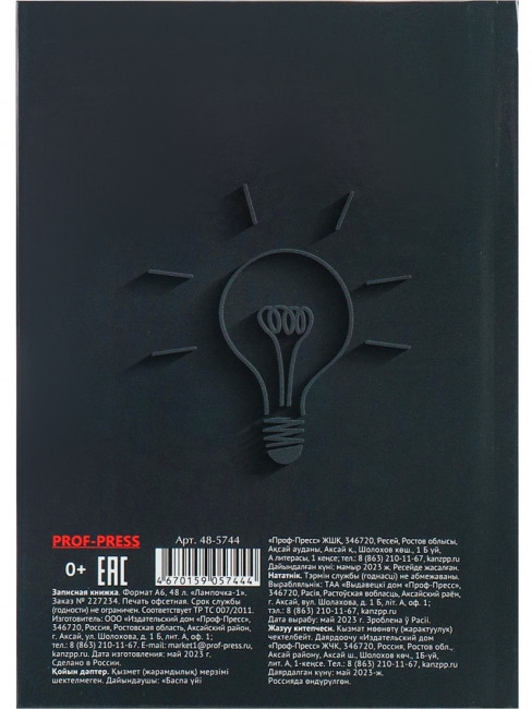 Записная книжка А6 48л клетка "Лампочка-1", 7БЦ, сшивка, Проф-Пресс/48-5744 (40)