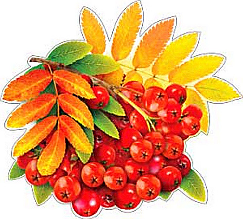 Плакат "Рябина" р3-26 (10)