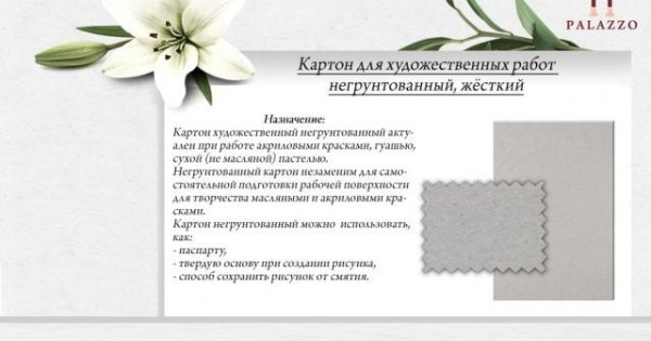 Картон негрунтованный 300х400 /5/