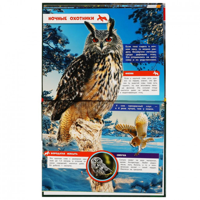 Энциклопедия с развивающими заданиями «Жестокие хищники». Формат: 197х255мм 48стр, Умка