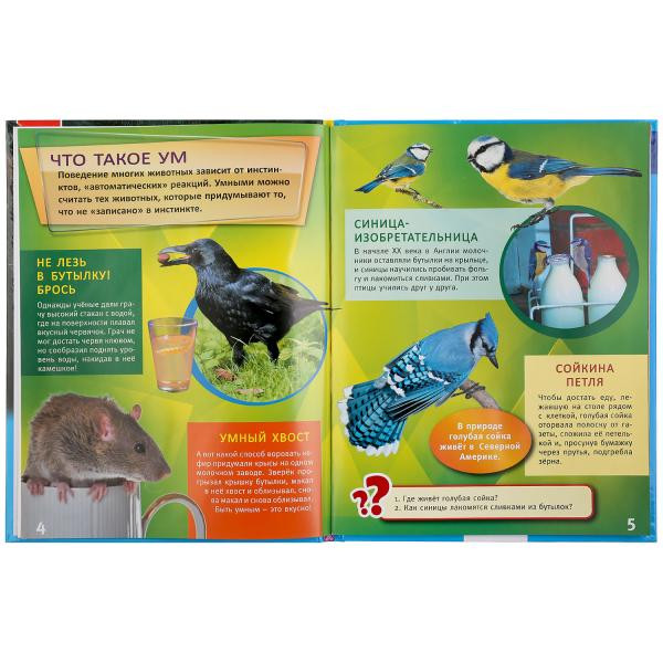 Энциклопедия с развивающими заданиями «Самые умные животные». Формат- А4 48стр, Умка