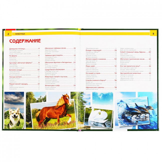 Энциклопедия с развивающими заданиями «Животные». Формат: 197 х 255мм 48стр, Умка