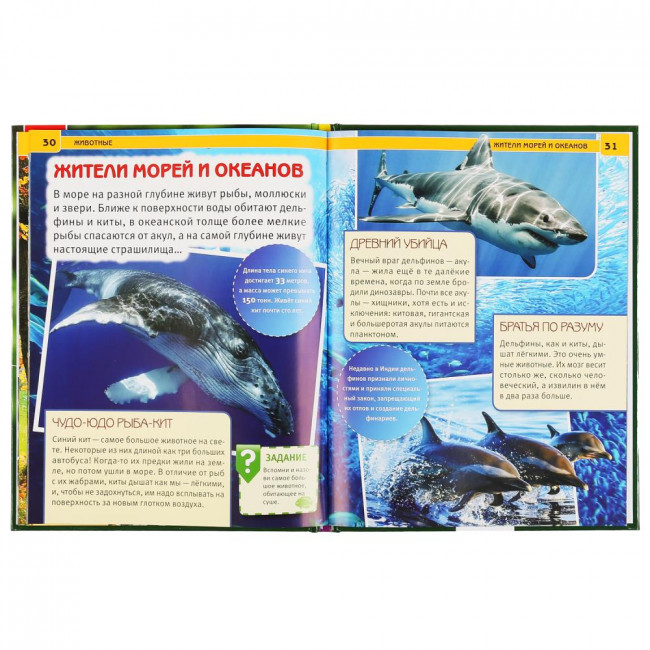 Энциклопедия с развивающими заданиями «Животные». Формат: 197 х 255мм 48стр, Умка