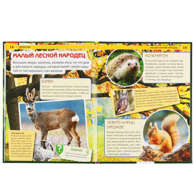 Энциклопедия с развивающими заданиями «Животные». Формат: 197 х 255мм 48стр, Умка