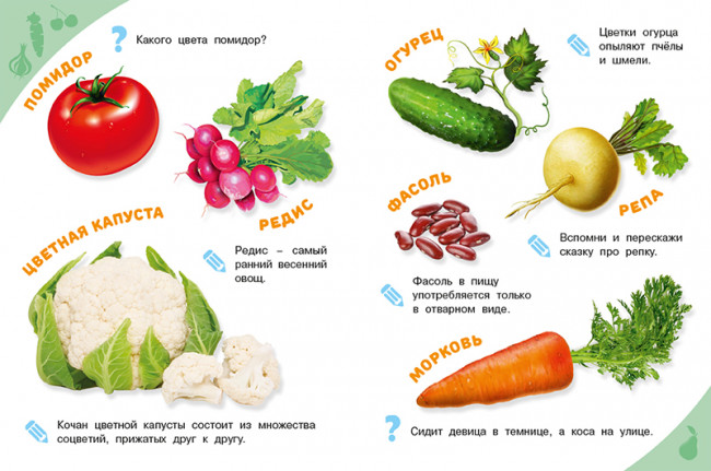 Энциклопедия «Овощи,фрукты,ягоды» из серии «Энциклопедии для самых маленьких». Формат: 21,5 х 16,2см 16стр, Фламинго Энциклопедия «Овощи,фрукты,ягоды» из серии «Энциклопедии для самых маленьких». Формат: 21,5 х 16,2см 16стр, Фламинго