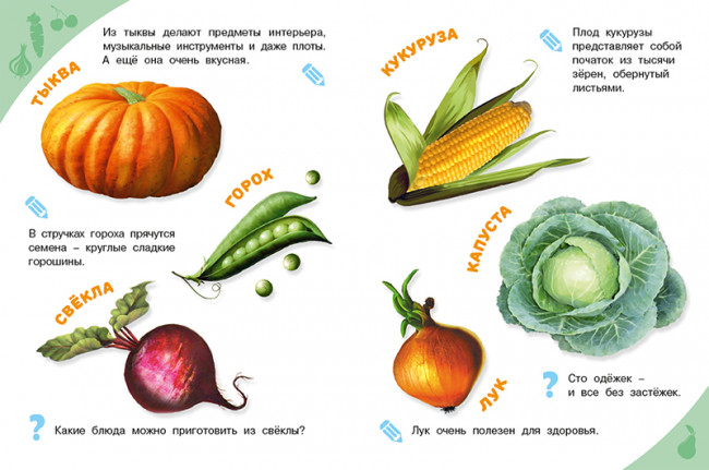 Энциклопедия «Овощи,фрукты,ягоды» из серии «Энциклопедии для самых маленьких». Формат: 21,5 х 16,2см 16стр, Фламинго Энциклопедия «Овощи,фрукты,ягоды» из серии «Энциклопедии для самых маленьких». Формат: 21,5 х 16,2см 16стр, Фламинго