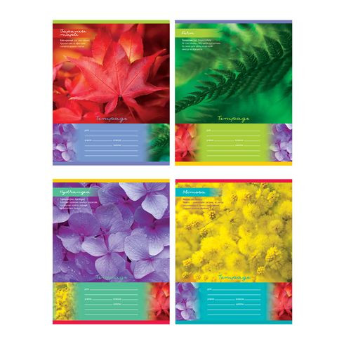 Тетрадь школьная А5 скоба 24л. одна линия "Floral" (ассорти) BG (25/150)