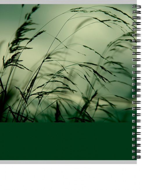 Тетрадь 80 клетка "Зелёная природа", на гребне, Проф-Пресс/80-8965 (4/56)