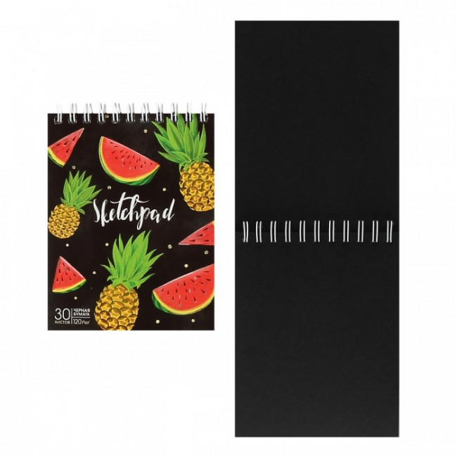 Блокнот для эскизов/скетчбук А6 (100*130) 30л 120г/м2 обл мягк карт дв спир Черн блок Фруктовый микс твин-лак 50082/5