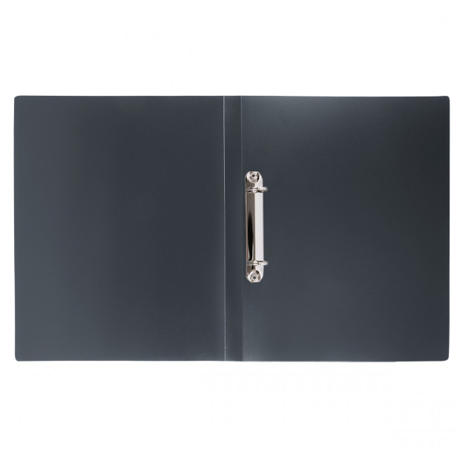 Папка А4 700мкр 25мм. на 2 О-кольцах d -20мм, серый new, Prisma Expert Complete/EC211300115 (4)