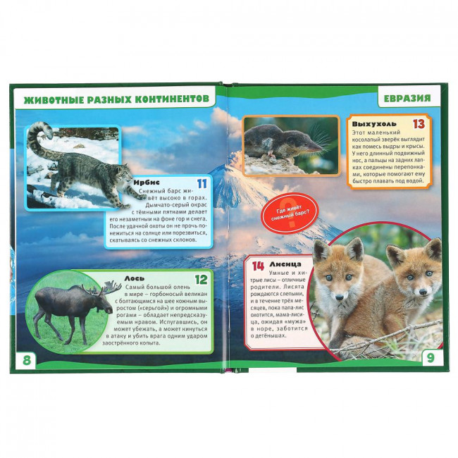 Энциклопедия с развивающими заданиями «Животные разных континентов. 100 фактов». Формат: А5 48стр, Умка Энциклопедия с развивающими заданиями «Животные разных континентов. 100 фактов». Формат: А5 48стр, Умка