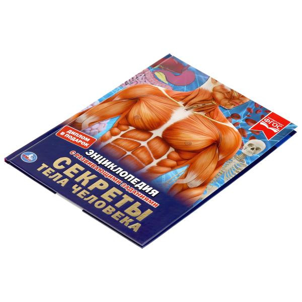Энциклопедия с развивающими заданиями «Секреты тела человека». Формат: А4 48стр, Умка Энциклопедия с развивающими заданиями «Секреты тела человека». Формат: А4 48стр, Умка