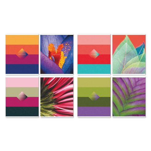 Тетрадь общая А5 гребень 96л. клетка "Color evolution" (ассорти) двойная обложка BG (4/24)