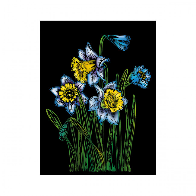 Гравюра  20 x 25,5см "Нарциссы", Hobbius/SGHM №06