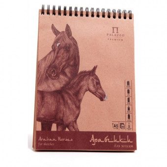 Альбом д/эскизов на пружине "Арабчики" А-5 на картоне 50 л.Гознак (20)