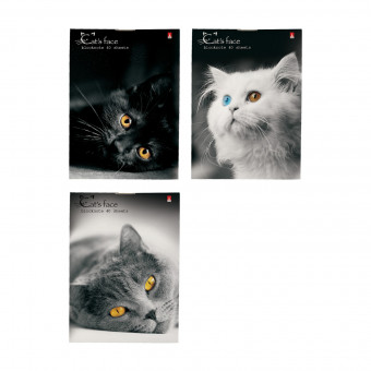 Блокнот А7 40л клетка "Кошки", 3 вида ассорти, BV/3-40-519 (100)