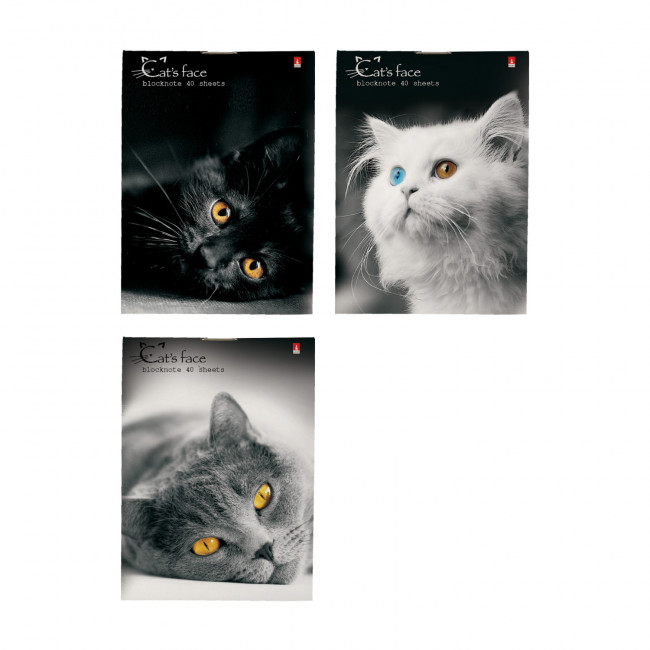 Блокнот А7 40л клетка "Кошки", 3 вида ассорти, BV/3-40-519 (100) Блокнот А7 40л клетка "Кошки", 3 вида ассорти, BV/3-40-519 (100)