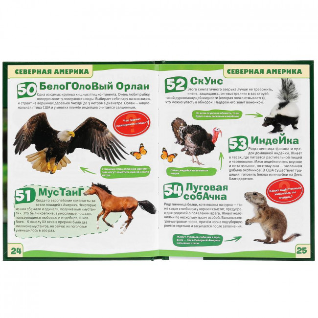 Энциклопедия с развивающими заданиями «Животные. 100 фактов». Формат: 165х215мм 48стр, Умка Энциклопедия с развивающими заданиями «Животные. 100 фактов». Формат: 165х215мм 48стр, Умка