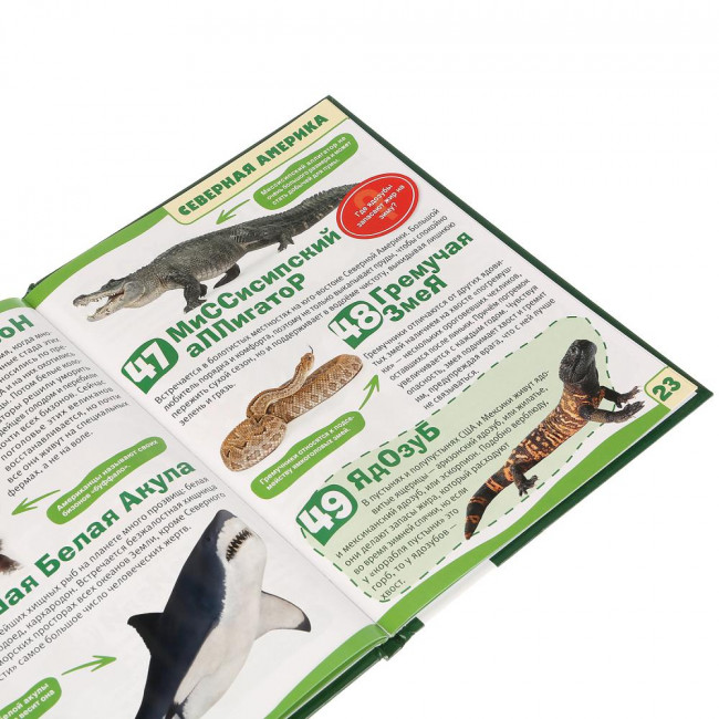 Энциклопедия с развивающими заданиями «Животные. 100 фактов». Формат: 165х215мм 48стр, Умка Энциклопедия с развивающими заданиями «Животные. 100 фактов». Формат: 165х215мм 48стр, Умка