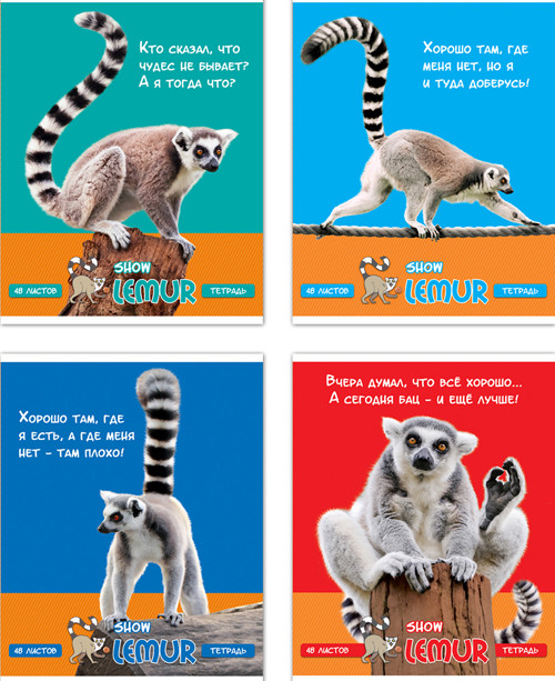 Т5ск48 3968 Тетрадь ученическая 48 л. в клетку "Лемур-шоу" (ассорти) (BG) (10/80)